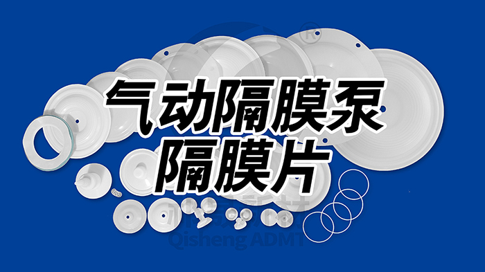 氣動(dòng)隔膜泵隔膜片密封件1祁晟